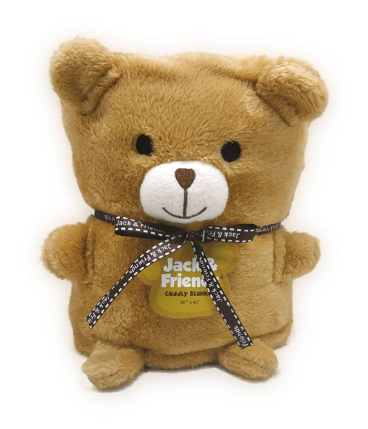 Teddy Bear Cuddly Blanket